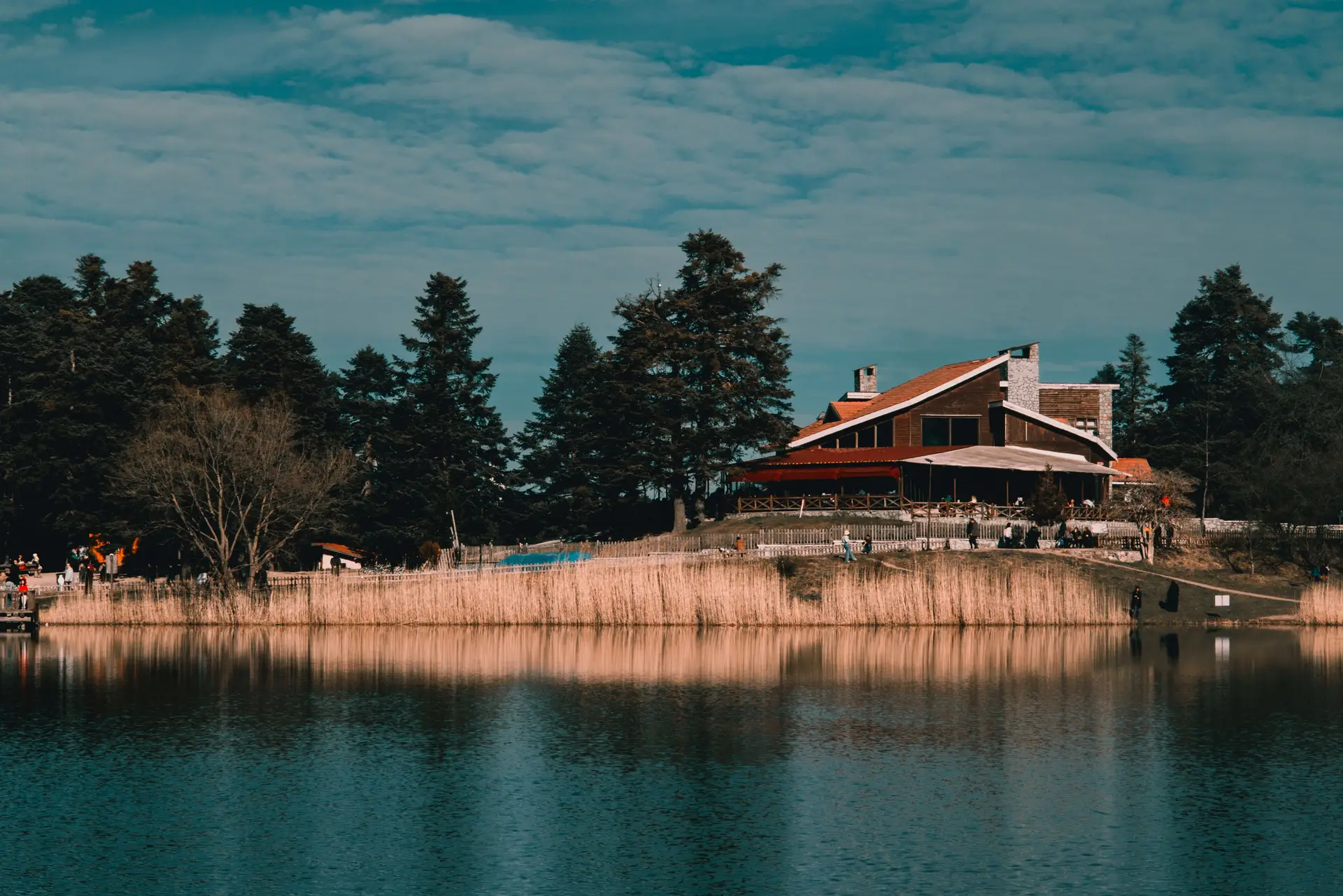 Szabó Eszter - Wellness Koordinátor