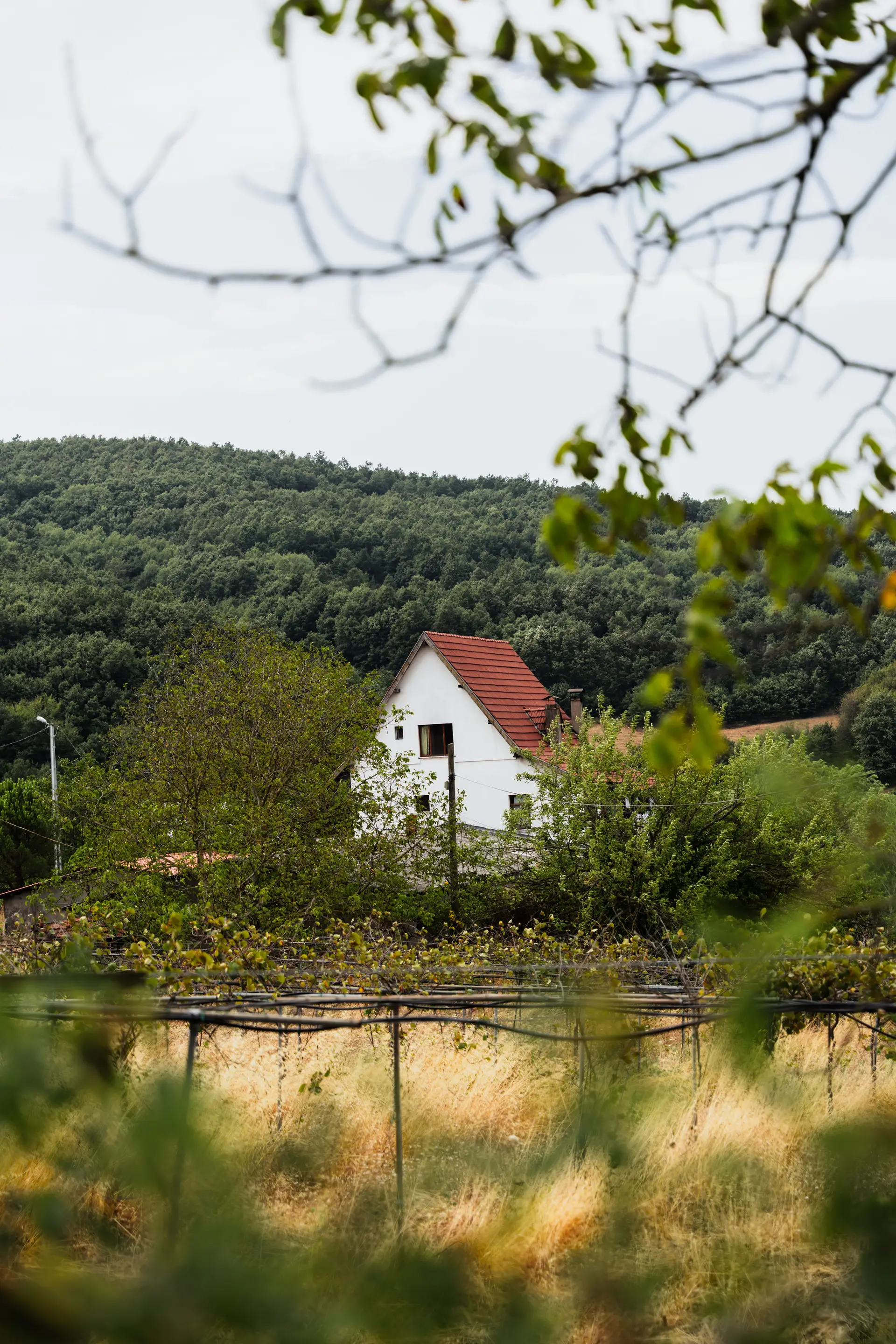 MerquoriangrandLodge légi felvétel
